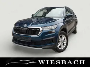 Skoda Kodiaq Ambition Automatik AHK LED 8-fach-bereift
