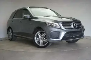 Mercedes-Benz GLE 350 d 4Matic 9G-Tronic AMG Leder/Temp/Pano/S