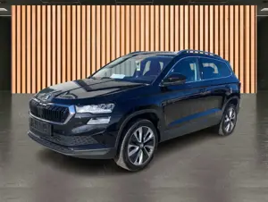Skoda Karoq Bild 2
