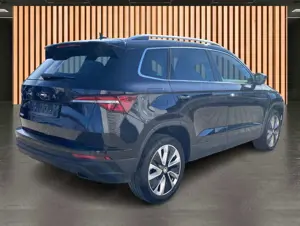 Skoda Karoq Bild 4