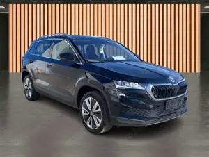Skoda Karoq Bild 3