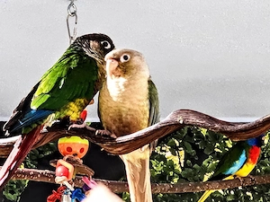    Mitarbeiter in gesucht   Tierpflege & Verkauf (Teilzeit)    Bild 3