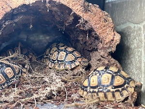    Mitarbeiter in gesucht   Tierpflege & Verkauf (Teilzeit)    Bild 4