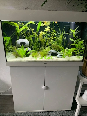 Juwel Rio 125 Liter Aquarium