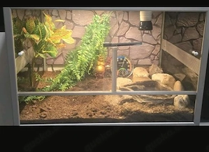Terrarium mit Alurahmen 