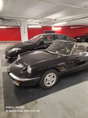 Alfa Romeo Spider