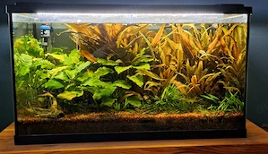 Aquarium von EHEIM