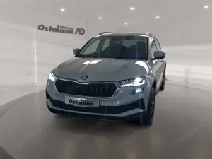 Skoda Karoq 1.5 TSI Tour Matrix/AHK/SHZ/Kamera/Kessy