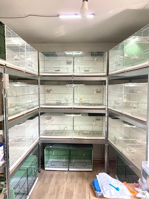 Vogelkäfige   Zuchtboxen 