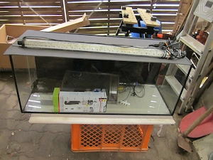 Aquarium mit Zubehör