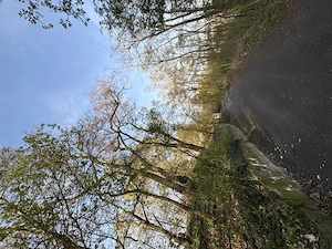 suche einen schwanz in berlin der mich fickt 