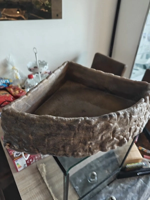 easserschale fur Reptilien 