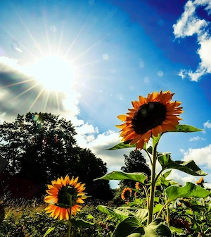 Reife & mollige Dame für langfristige Freundschaft gesucht!