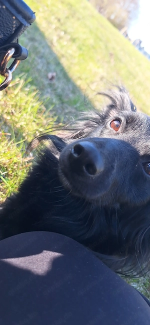 Kira sucht ein neues Zuhause. 