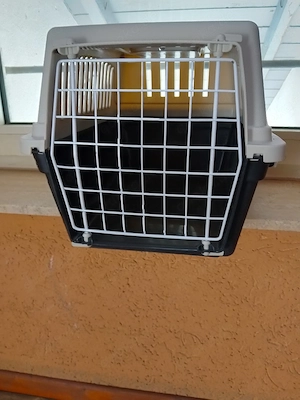 Katzen Transporter 