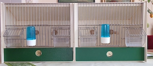 Vogelbox für Kleinvögel