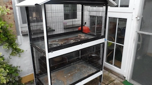 Voliere für innen und außen!