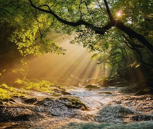 Reiki am Niederrhein   energetische Harmonie   energetische Massage