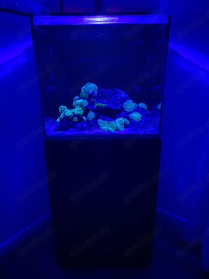 Meerwasser Aquarium Red Sea e- Max 170 komplett set