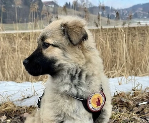 Flora - zuckersüß und lieb