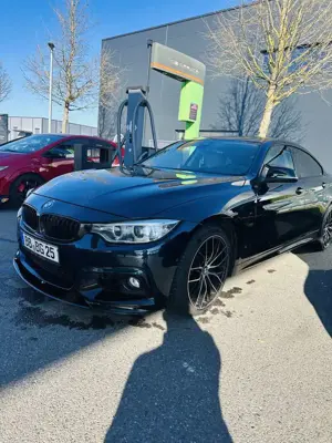 BMW 435 435i Gran Coupe xDrive Sport-Aut. Sport Line