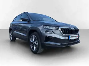 Skoda Karoq Bild 3