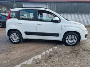 Fiat Panda Lounge