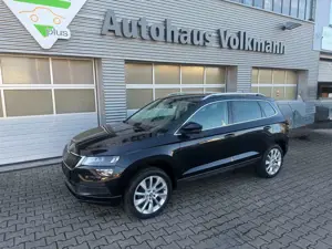 Skoda Karoq Style Canton Fernlicht- Spurhalte-Assistent CarPla