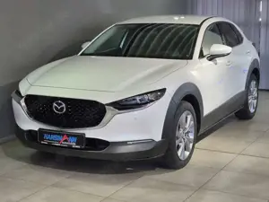 Mazda CX-30 Selection G-150/6GS/Design-P./Premium-P./Navi/Head