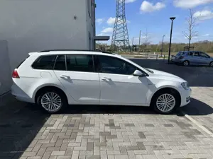 Volkswagen Golf Variant Cup BMT Bild 2