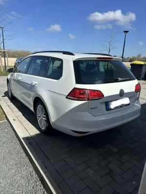 Volkswagen Golf Variant Cup BMT Bild 3