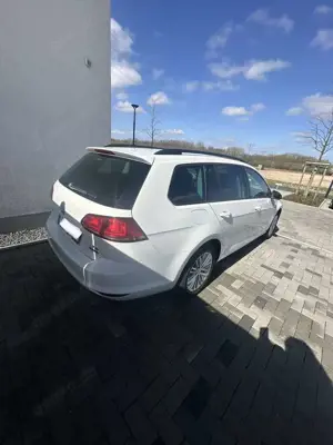 Volkswagen Golf Variant Cup BMT Bild 4