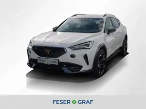 CUPRA Formentor VZ 2.0 TSI DSG NAVI/RFK/LED/PDC/CLIMA