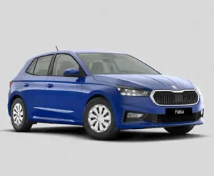 Skoda Fabia Joy 1.0 Tsi LED DAB Klima SHZ PDC VZE