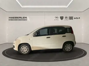 Fiat Panda Bild 3