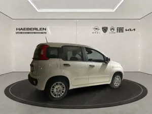 Fiat Panda Bild 5