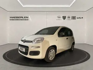 Fiat Panda Bild 2
