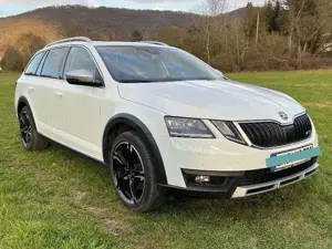 Skoda Octavia Octavia Combi 2.0 TDI 4x4 DSG Scout