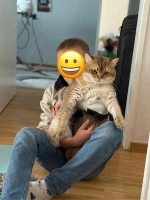 Deckkater (kein Verkauf) 