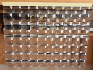 Lupenfolie 20 Stück