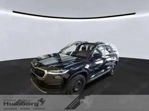 Skoda Kodiaq Tour 2.0 TDI DSG AHK+360 Kam+Standhzg+Matrix