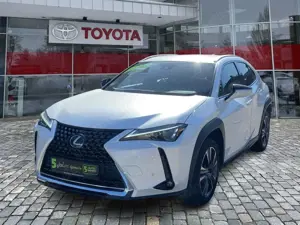 Lexus UX 250h UX 250 h Style Edition guter Crossover