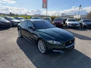 Jaguar XF 30d 300PS R-Sport Automatik Matric Head ACC Bild 3
