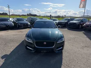Jaguar XF 30d 300PS R-Sport Automatik Matric Head ACC Bild 2