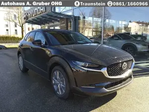 Mazda CX-30 2.5L e-SKYACTIV G Automatik Center-Line+Design-Pak