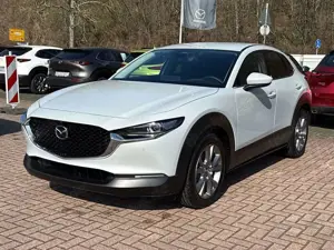 Mazda CX-30 2.5 Exclusive-Line *Matrix-LED*BOSE*360°*