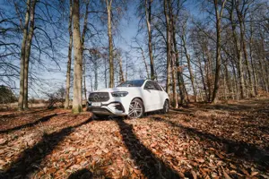 Mercedes-Benz GLE 400 GLE 400 e 4Matic 9G-TRONIC Advanced Plus