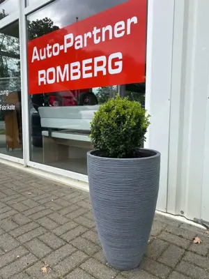 Volkswagen Passat Variant Highline BlueMotion Pano DSG