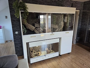 Exclusive Terrarium Anlage Wand in weiß XXL