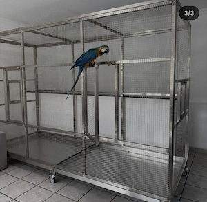 Edelstahl Voliere XXL 